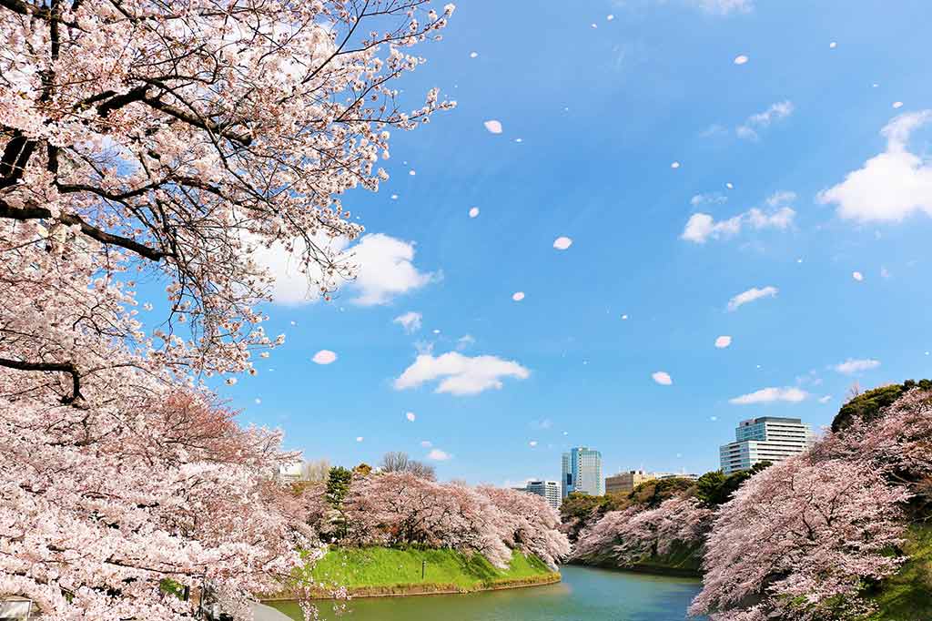 【彩り】スタートの春をカラフルに彩る年代別ソング