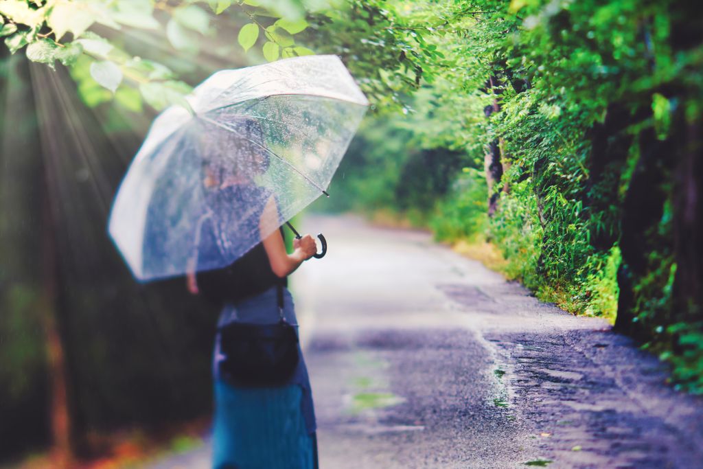 雨の日だからこそ美しい!梅雨を楽しむ全国の穴場スポット5選
