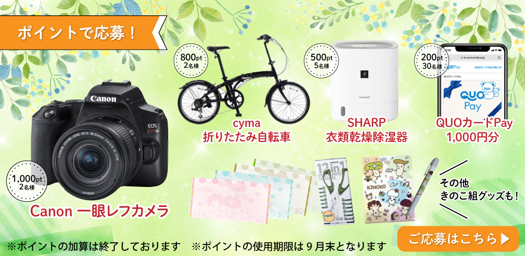 今月のポイントプレゼント