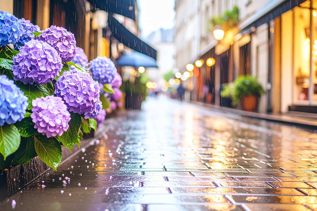 【雨】梅雨の美しさを象徴する、雨の日にゆっくり楽しみたい年代別ソング