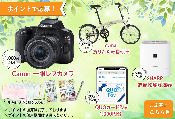 2025年5月のポイントプレゼント