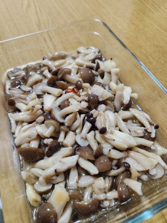 写真：Ｈ・Ｓ（大阪府）の菌活の様子