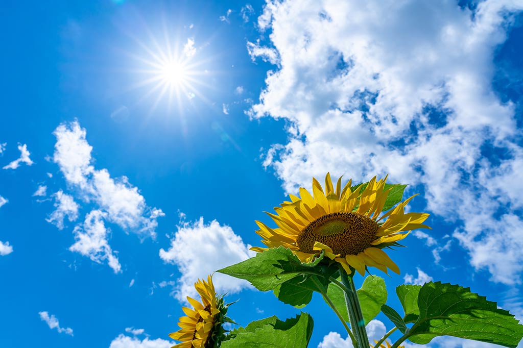 【熱】夏の始まりを告げる、心と身体を熱くする年代別ソング