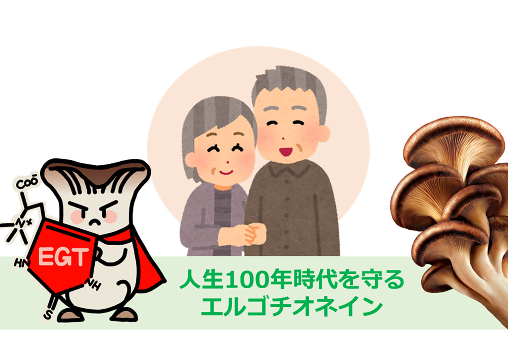 エルゴチオネインと認知症に関する最新研究をご紹介