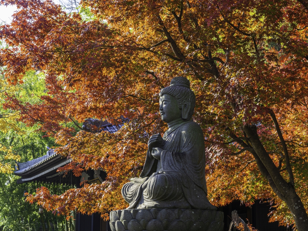 美しい秋とともに楽しむ神社仏閣巡り。作法や心への効果、おすすめスポットまで一挙ご紹介！