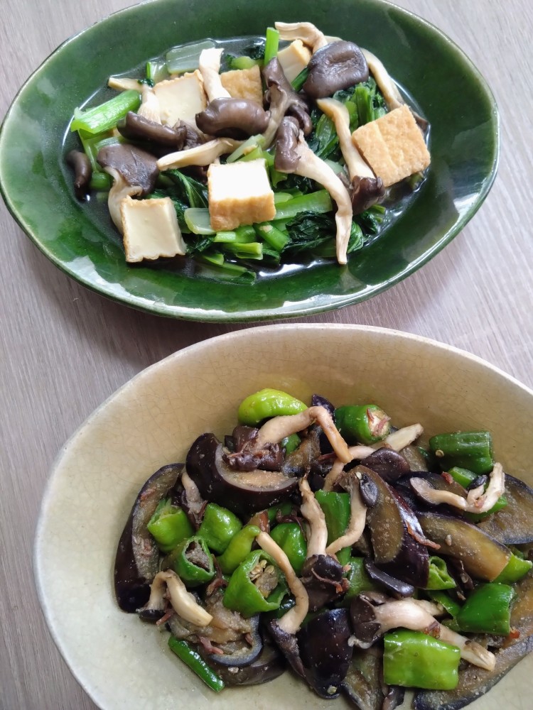 写真：Y・K（埼玉県）の菌活の様子