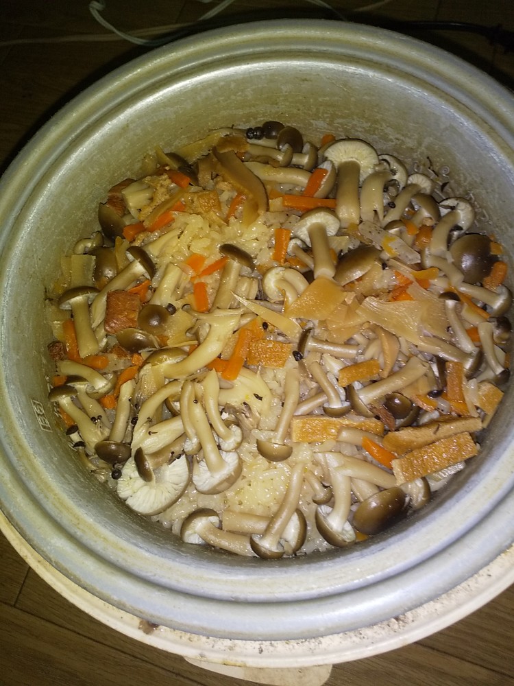 写真：A・S（兵庫県）の菌活の様子