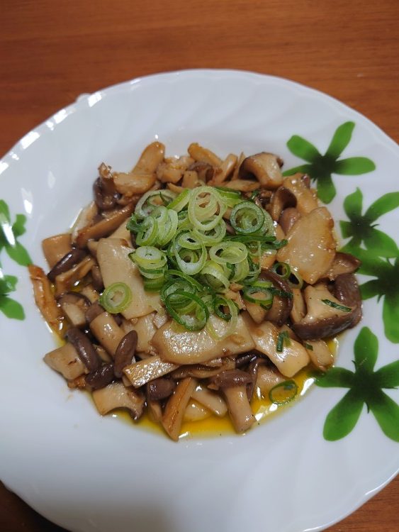 写真：A・T（愛媛県）の菌活の様子