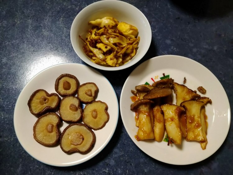 写真：E・T（千葉県）の菌活の様子