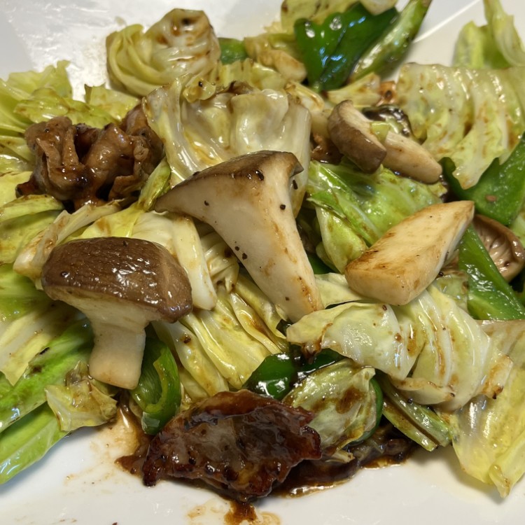 写真：J・M（香川県）の菌活の様子