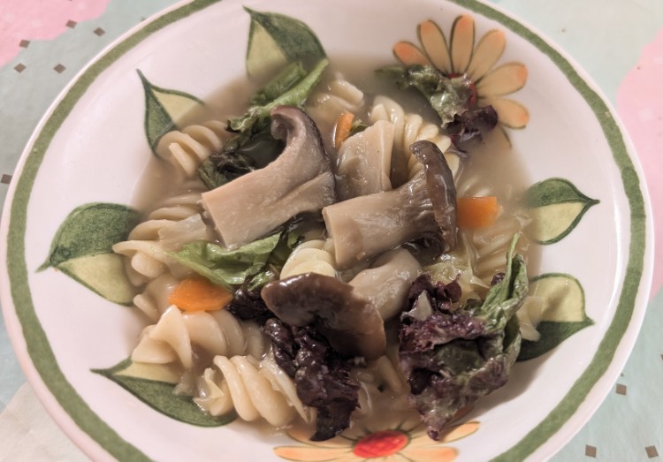 写真：Y・S（大阪府）の菌活の様子