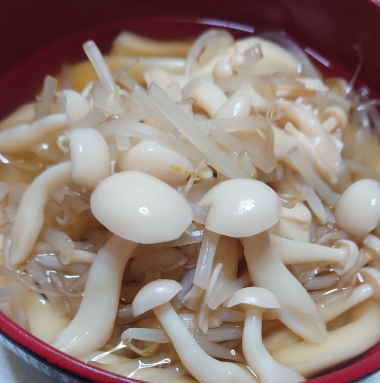 写真：K・M（長野県）の菌活の様子