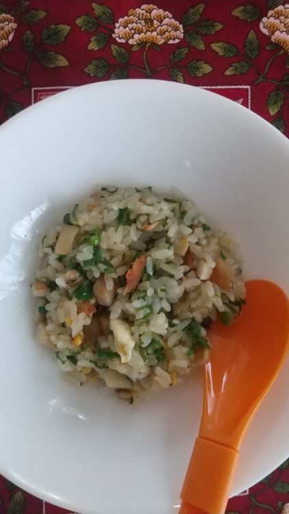 写真：A・S（愛媛県）の菌活の様子