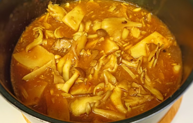 写真：M・N（神奈川県）の菌活の様子