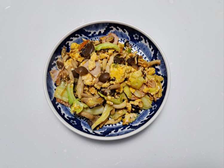 写真：M・K（茨城県）の菌活の様子