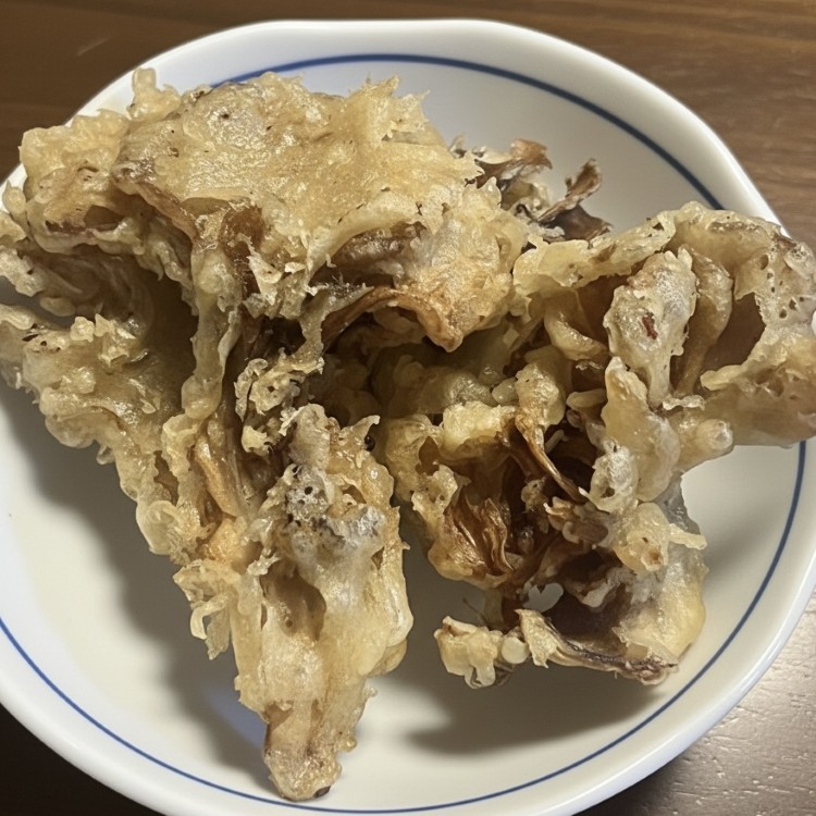 写真：T・I（宮城県）の菌活の様子