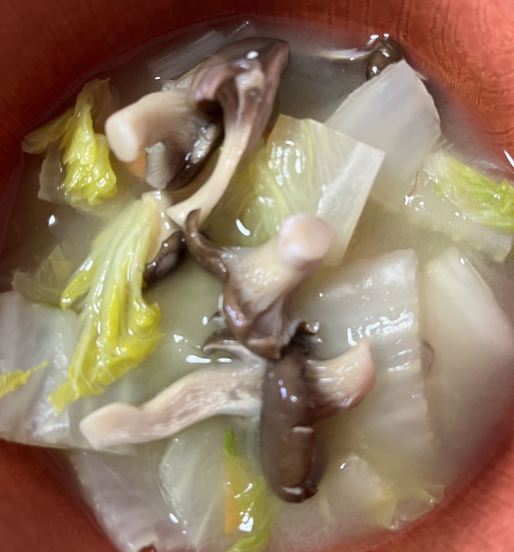 写真：S・M（大阪府）の菌活の様子