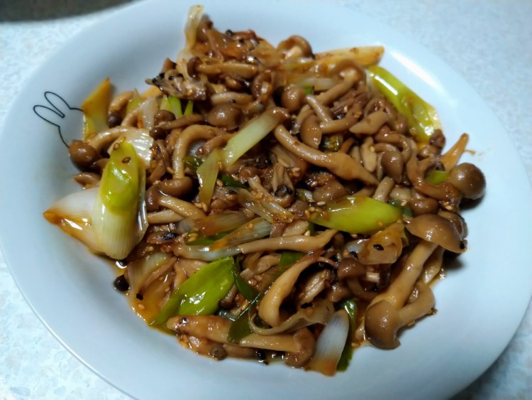 写真：S・T（千葉県）の菌活の様子