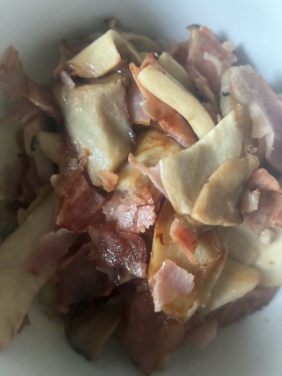 写真：Y・K（岐阜県）の菌活の様子