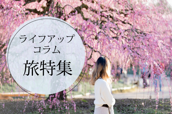 春の息吹を五感で感じる！一足先に春を楽しむおすすめスポット5選