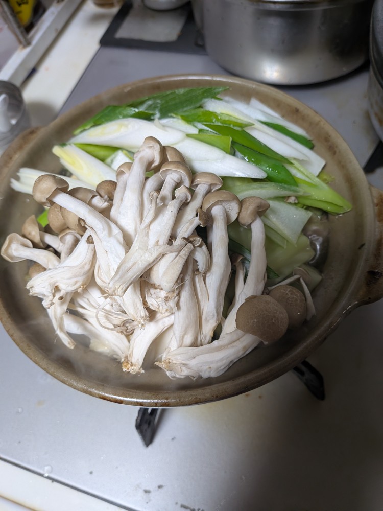 写真：M・O（愛知県）の菌活の様子