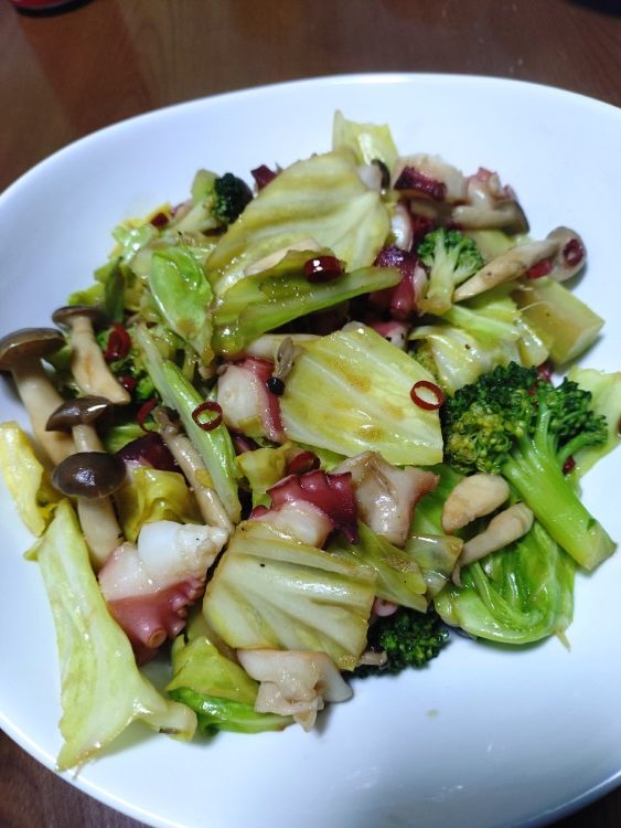 写真：N・A（静岡県）の菌活の様子