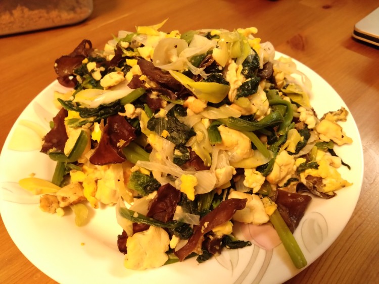 写真：C・K（東京都）の菌活の様子