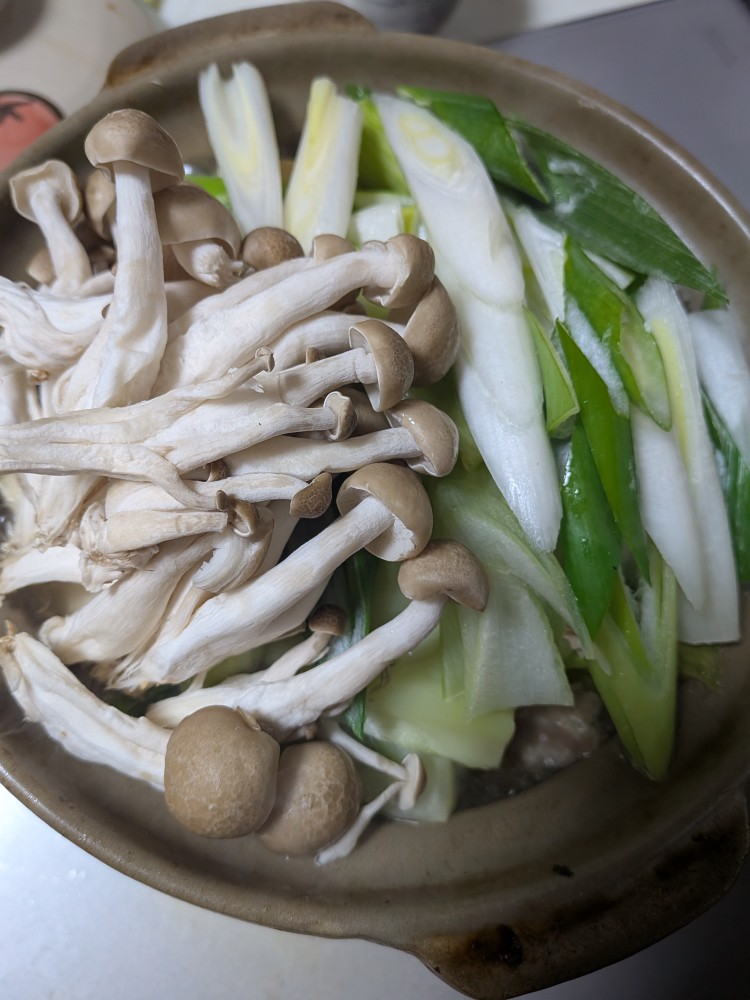 写真：M・O（愛知県）の菌活の様子