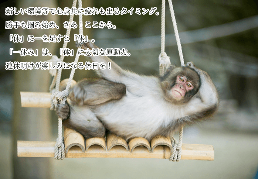 今週の菌言コラム