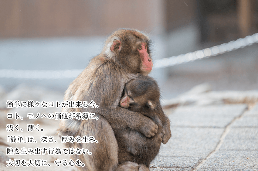今週の菌言コラム
