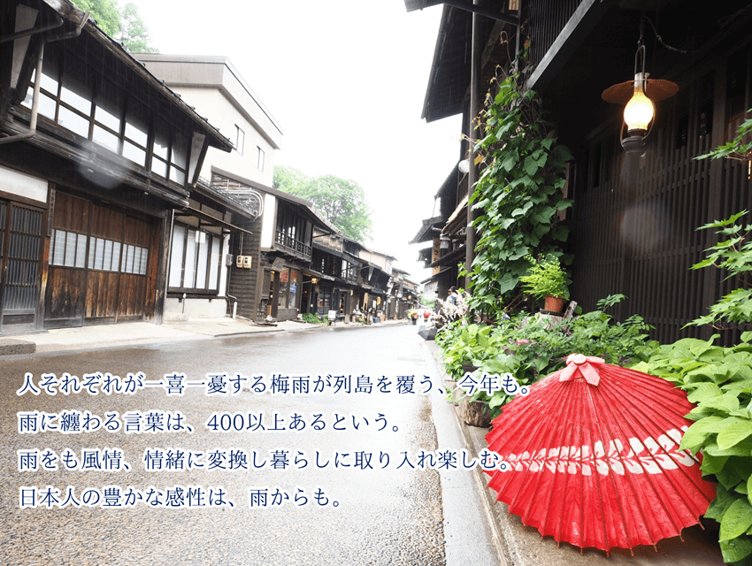 今週の菌言コラム