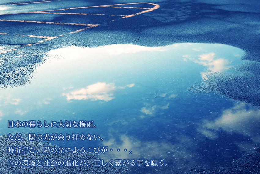 今週の菌言コラム