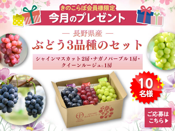 今月の会員プレゼント