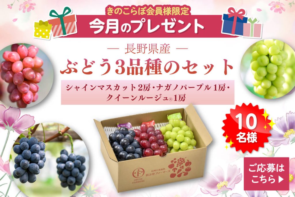 2026年9月｜会員限定プレゼントバナー