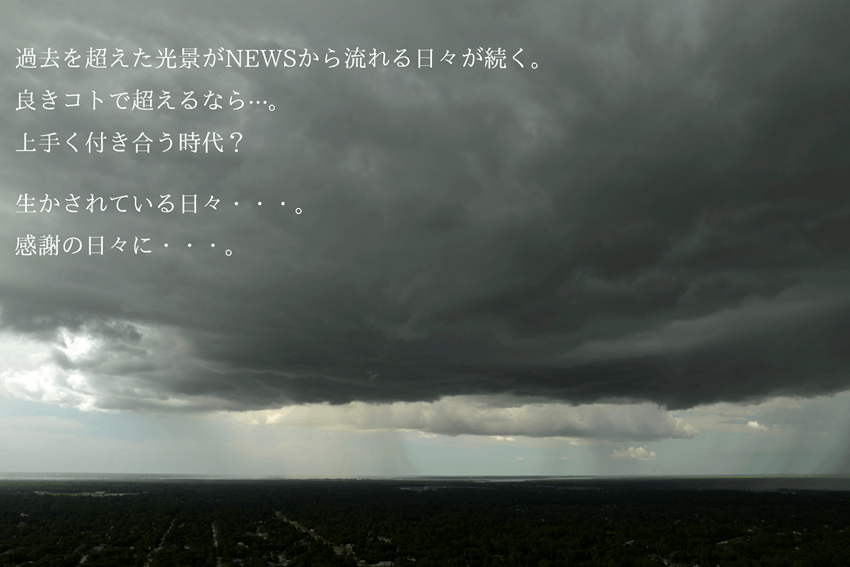 今週の菌言コラム