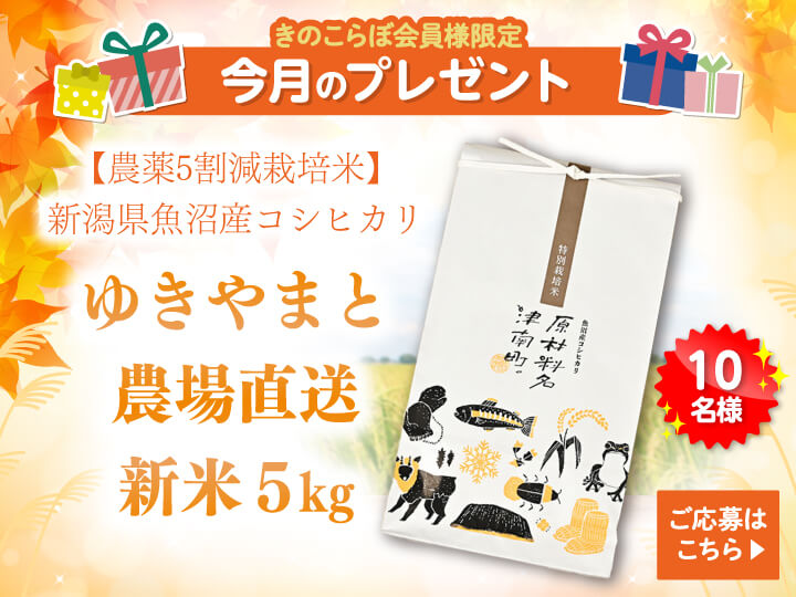 今月の会員プレゼント