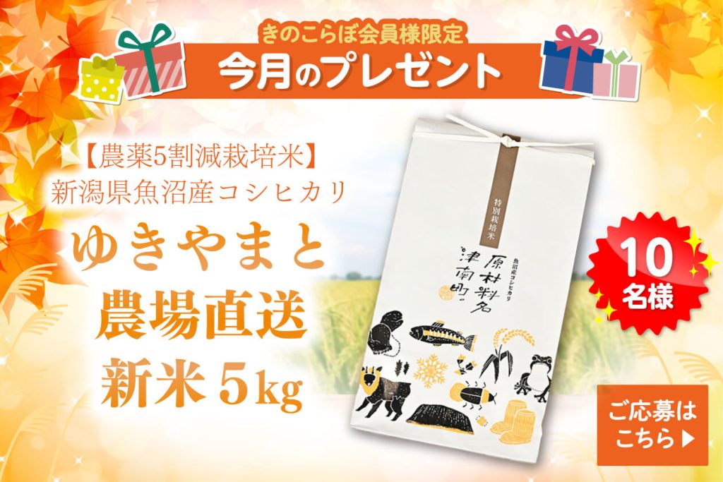 2026年10月｜会員限定プレゼントバナー