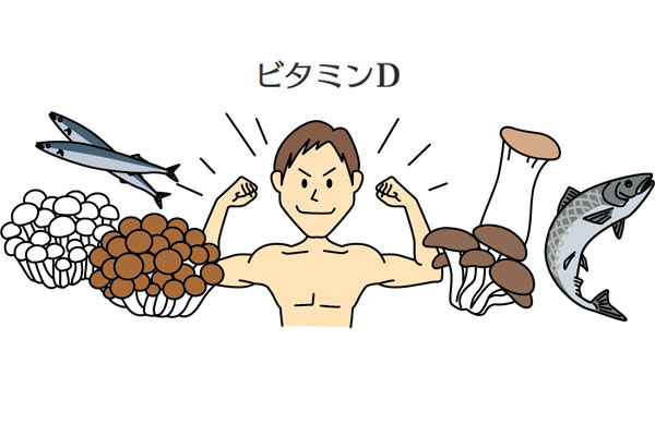 元気な身体づくりをサポートするきのこの栄養「ビタミンD」をご紹介!