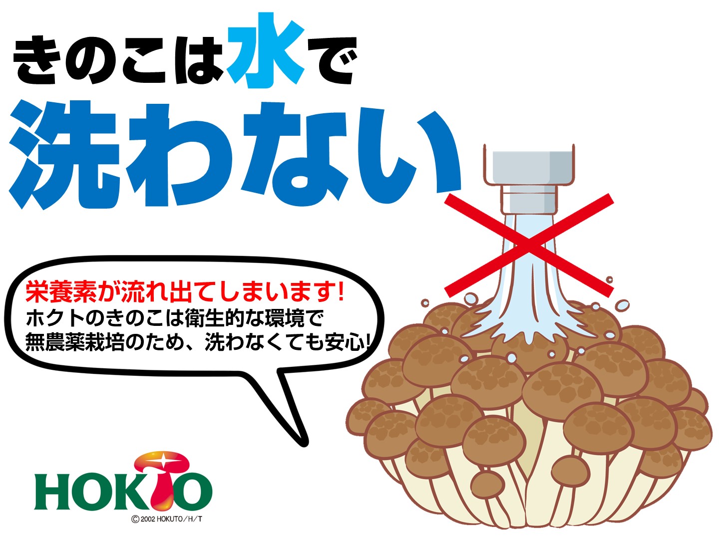きのこは水で洗わなくていいってホント？