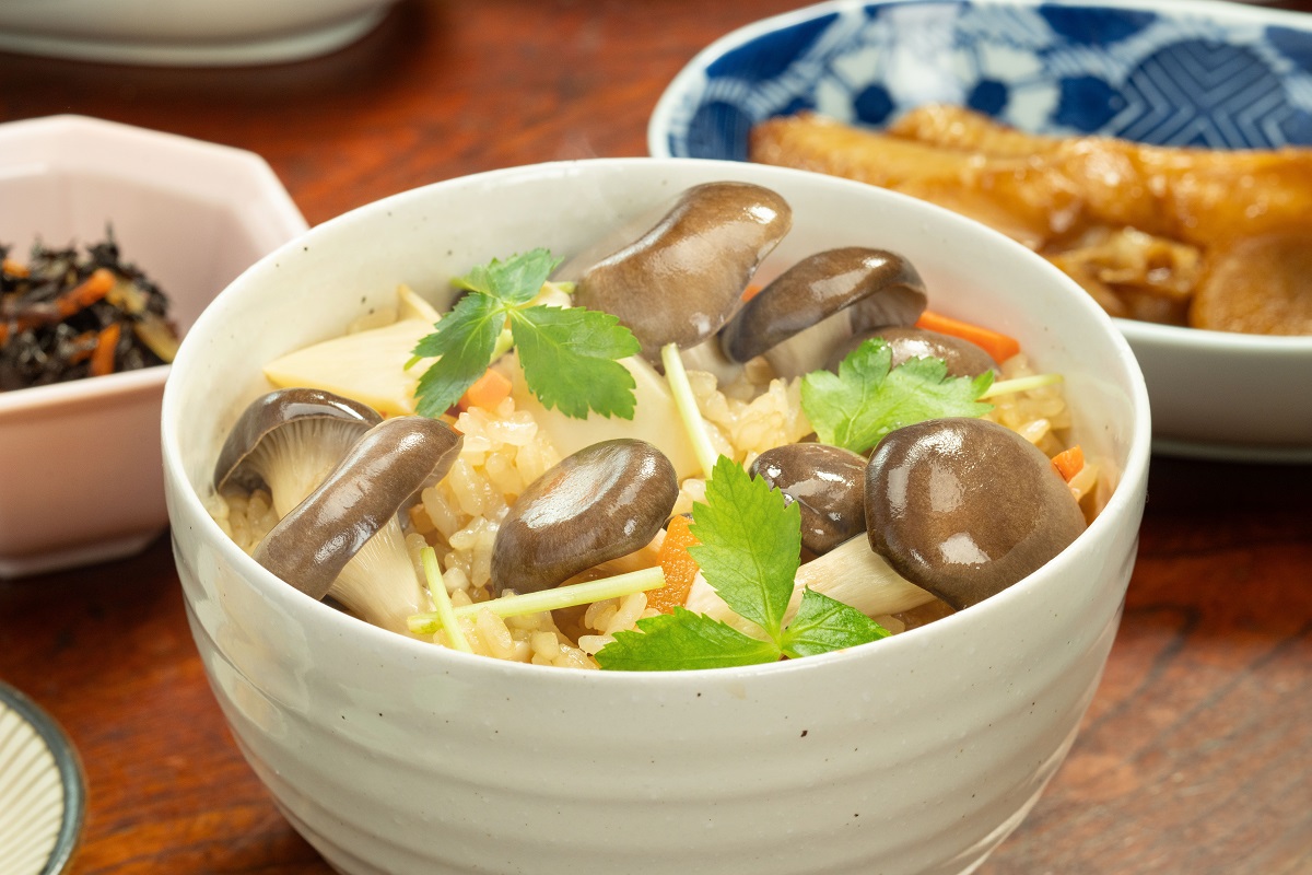霜降りひらたけと筍の炊き込みご飯【2026.04.07】