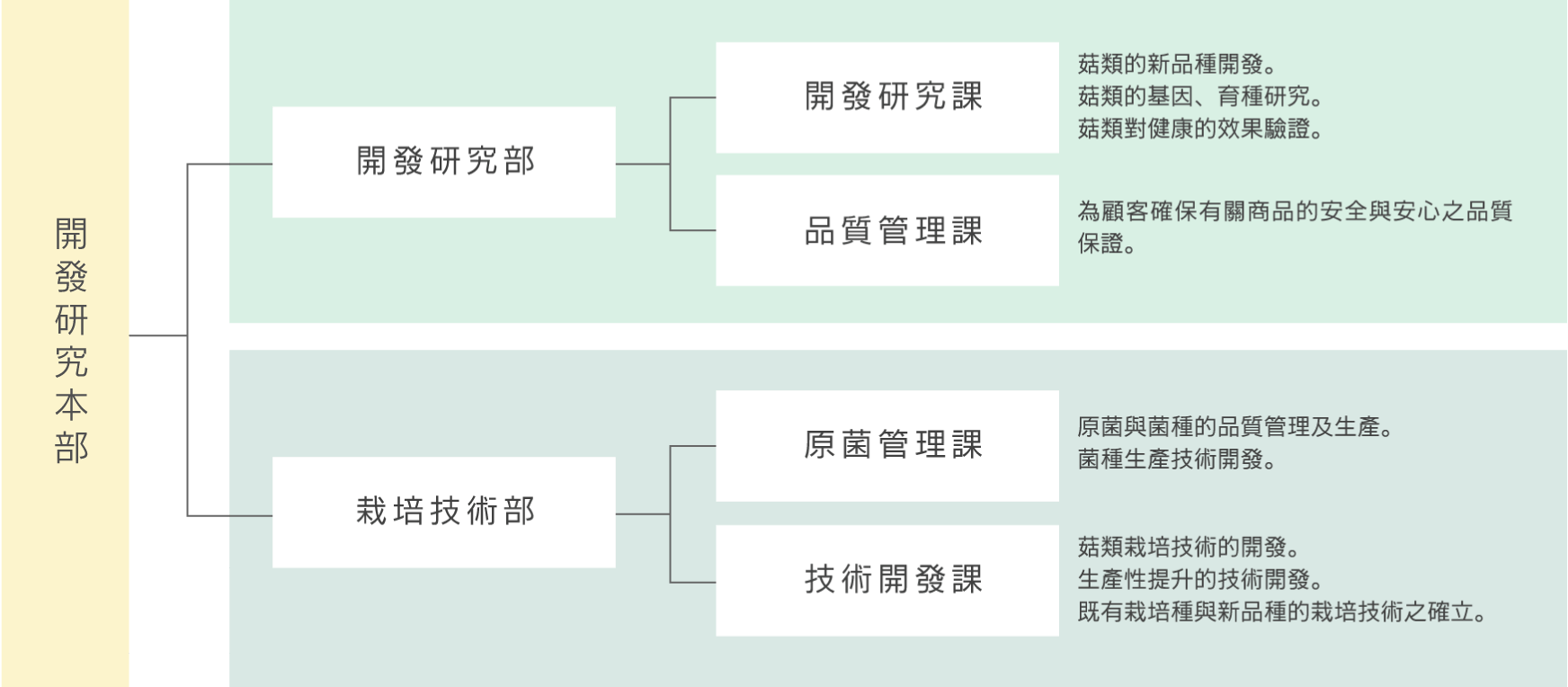 研究開發體制