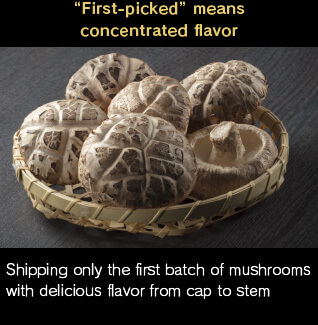 "First-picked" means concentrated flavor. Shipping only the first batch of mushrooms with delicious flavor from cap to stem.