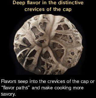 Flavors seep into the crevices of the cap or "flavor paths" and make cooking more savory.