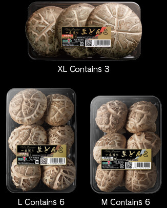 XL Contains 3, L Contains 6, M Contains 6