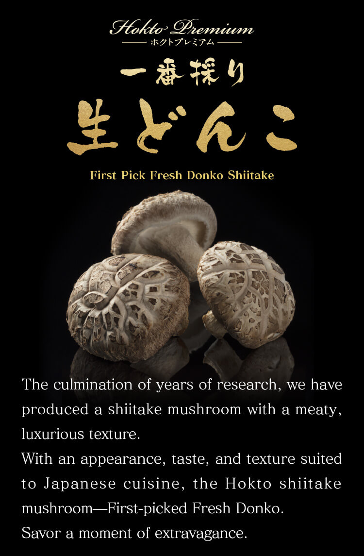 Fresh Donko Shiitake