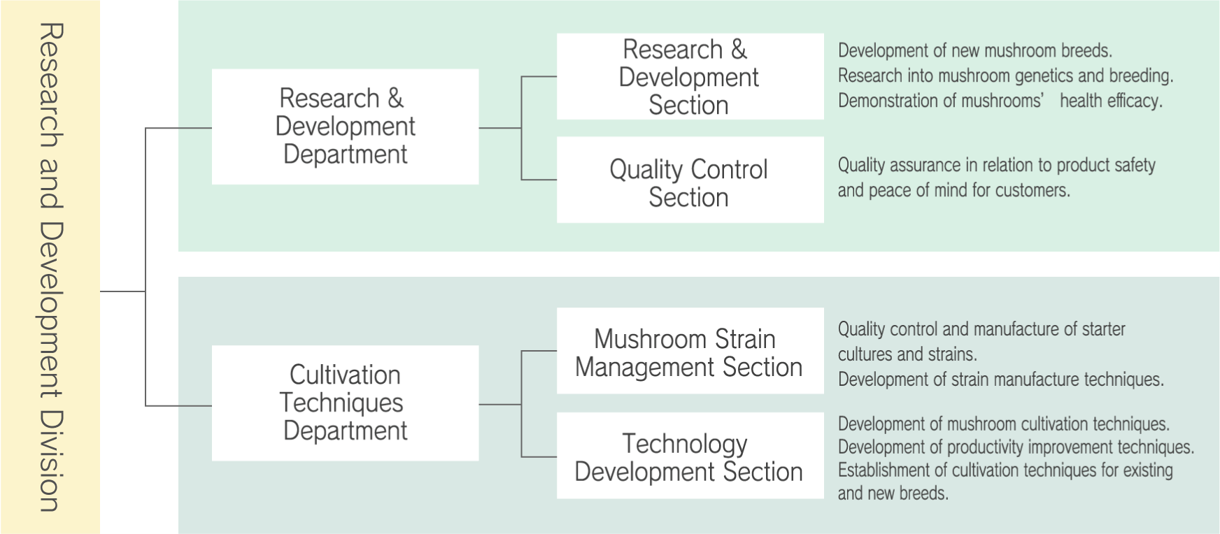 Research & Development Structure