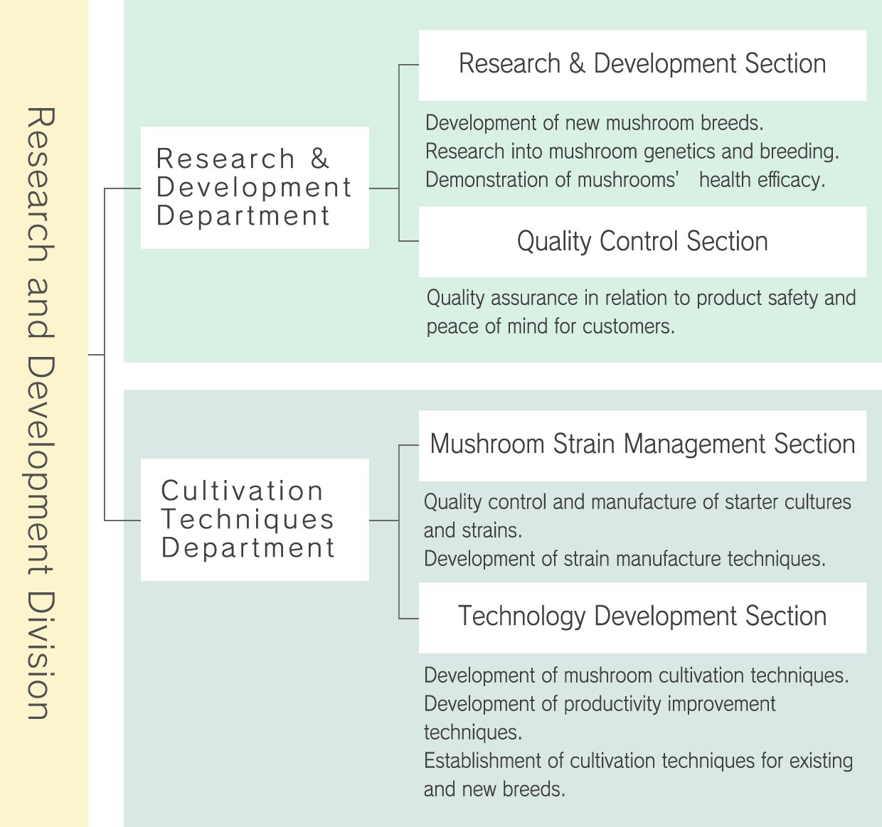 Research & Development Structure