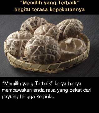 "Memilih yang Terbaik" begitu terasa kepekatannya. "Memilih yang Terbaik" ianya hanya membawakan anda rasa yang pekat dari payung hingga ke pola.