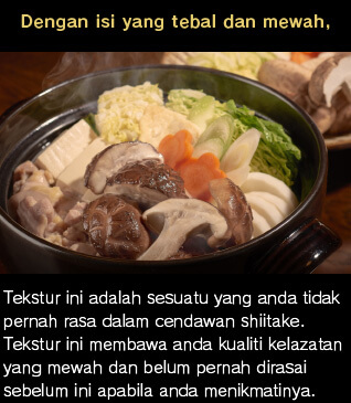 Dengan isi yang tebal dan mewah, Tekstur ini adalah sesuatu yang anda tidak pernah rasa dalam cendawan shiitake. Tekstur ini membawa anda kualiti kelazatan yang mewah dan belum pernah dirasai sebelum ini apabila anda menikmatinya.