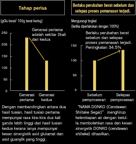 Dengan membandingkan antara dua hasil tuaian, hasil tuaian pertama mempunyai rasa kira-kira dua kali ganda lebih tinggi dari hasil tuaian kedua kerana ianya mempunyai kesan sinergistik asid glutamat dan asid guanylik yang tinggi. "NAMA DONKO (Cendawan Shiitake Segar)" menghirup kelembapan air dengan betul. Ia membolehkan rasa dan kesan sinergetik DONKO (cendawan shiiteke) dihasilkan.